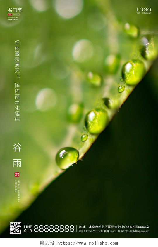 绿色实拍简洁谷雨二十四节气海报二十四节气24节气谷雨